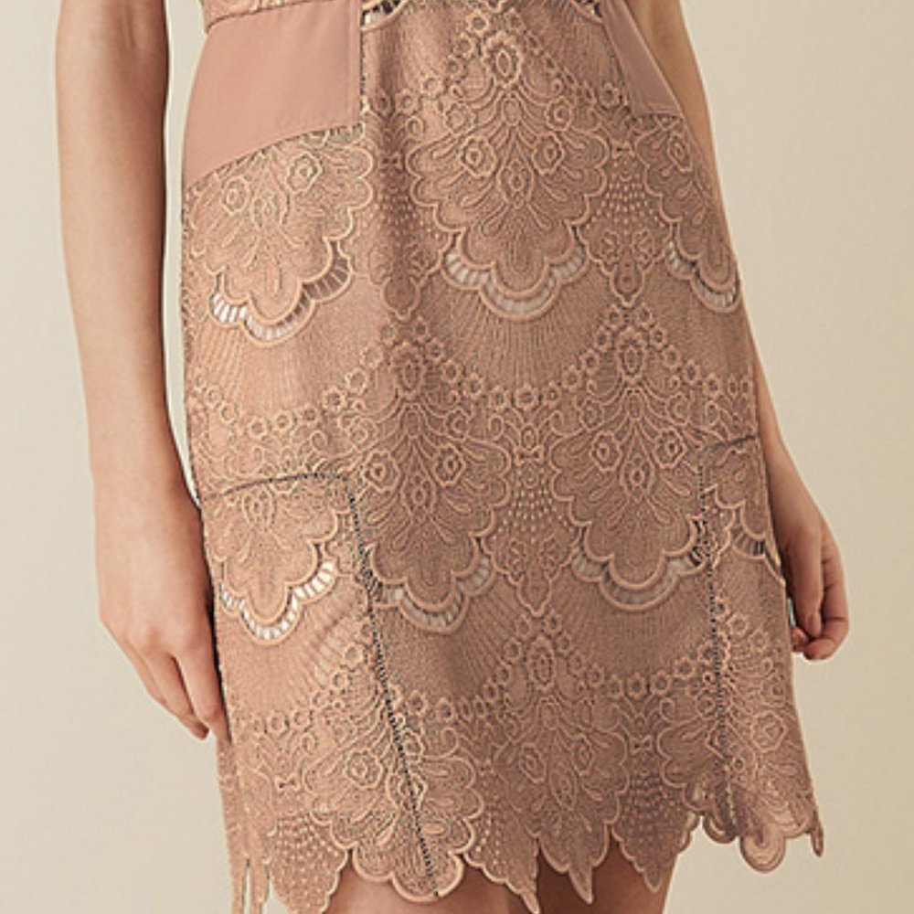 *SOLD* NWT REISS | Gemina Lace Dress - Picture 7 of 8